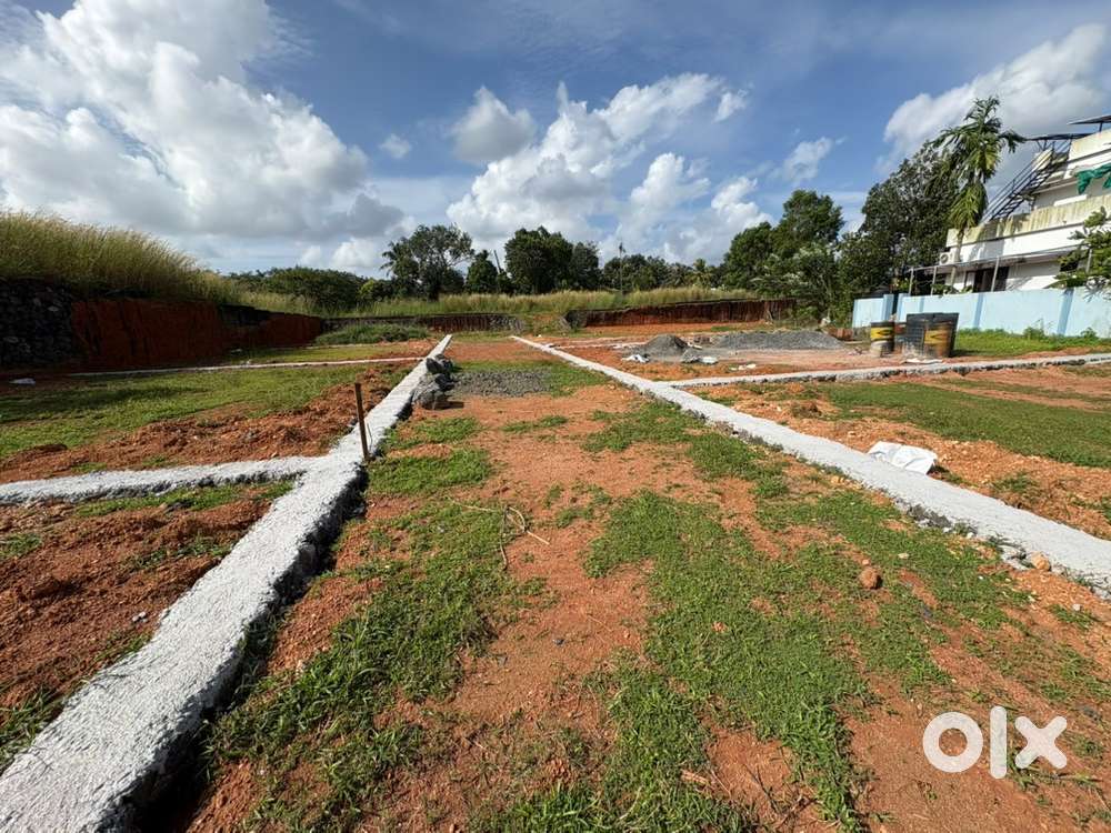 Kakkanad Kizhakkambalam 4,5,6 cent original land Dherappady