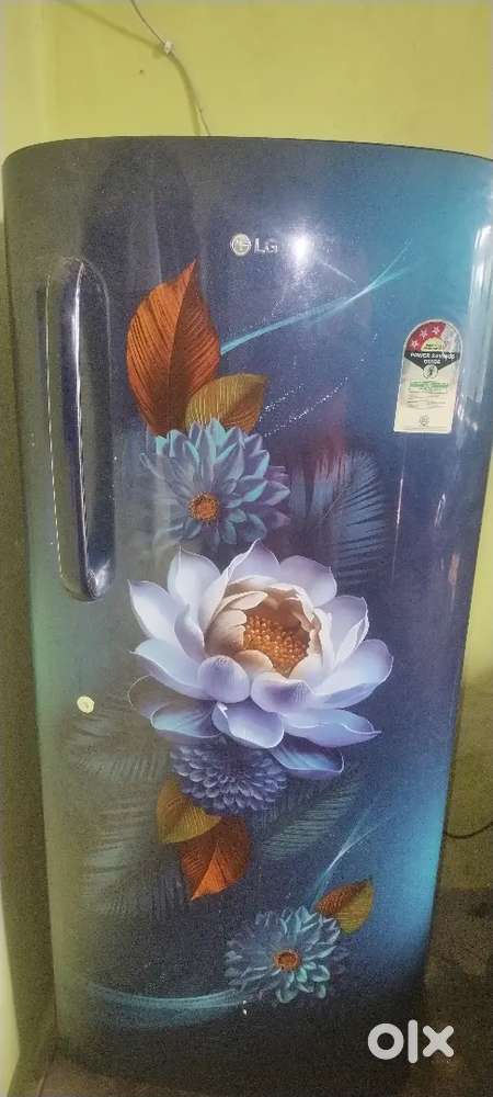 LG fridge 224 ltr, year 2024