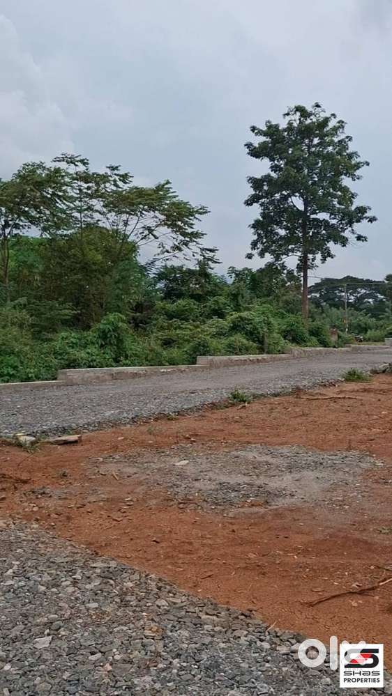 Residential plots for sale near Kottekad, Palakkad