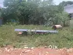 Plot 5cent nearby main road pallathur