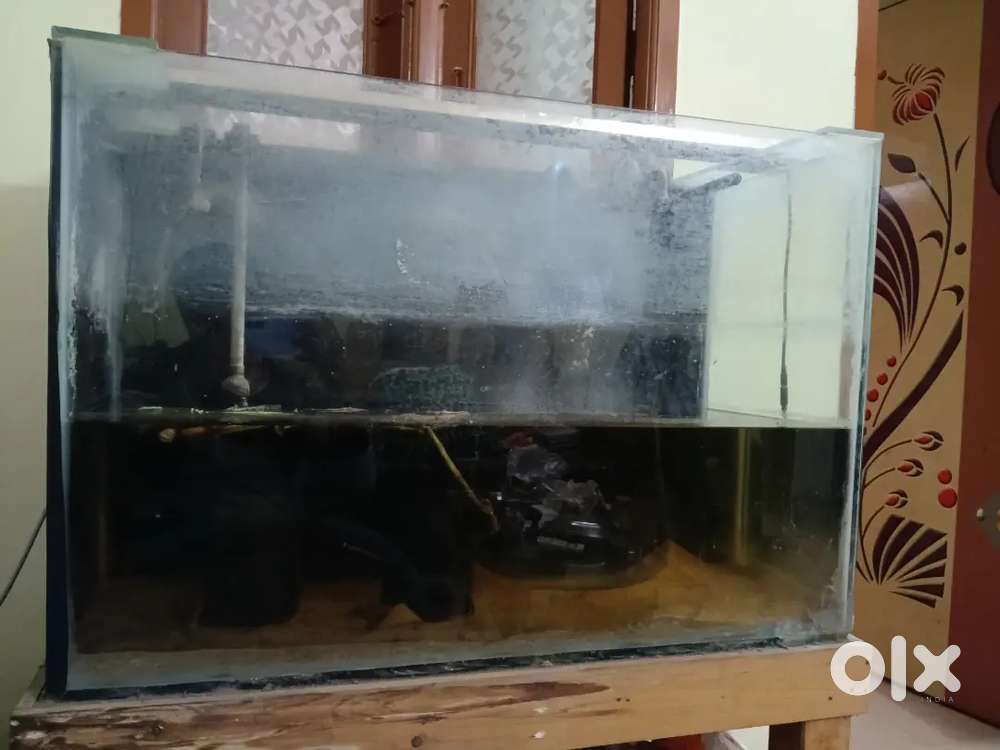 Aquarium fish tank