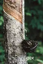 Rubber plot to sale