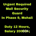 Mall Security Guards Job Phase 9,Mohali
