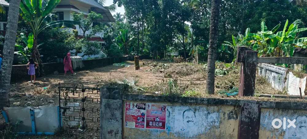 Residential Plot for Sale in Manjapra