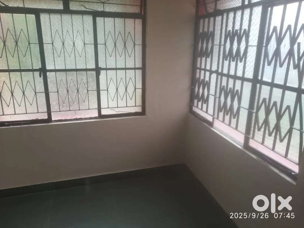 With or without food