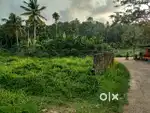 5 cents beautiful plots for sale @ Kallayam, off Ennikara Vencode Rd