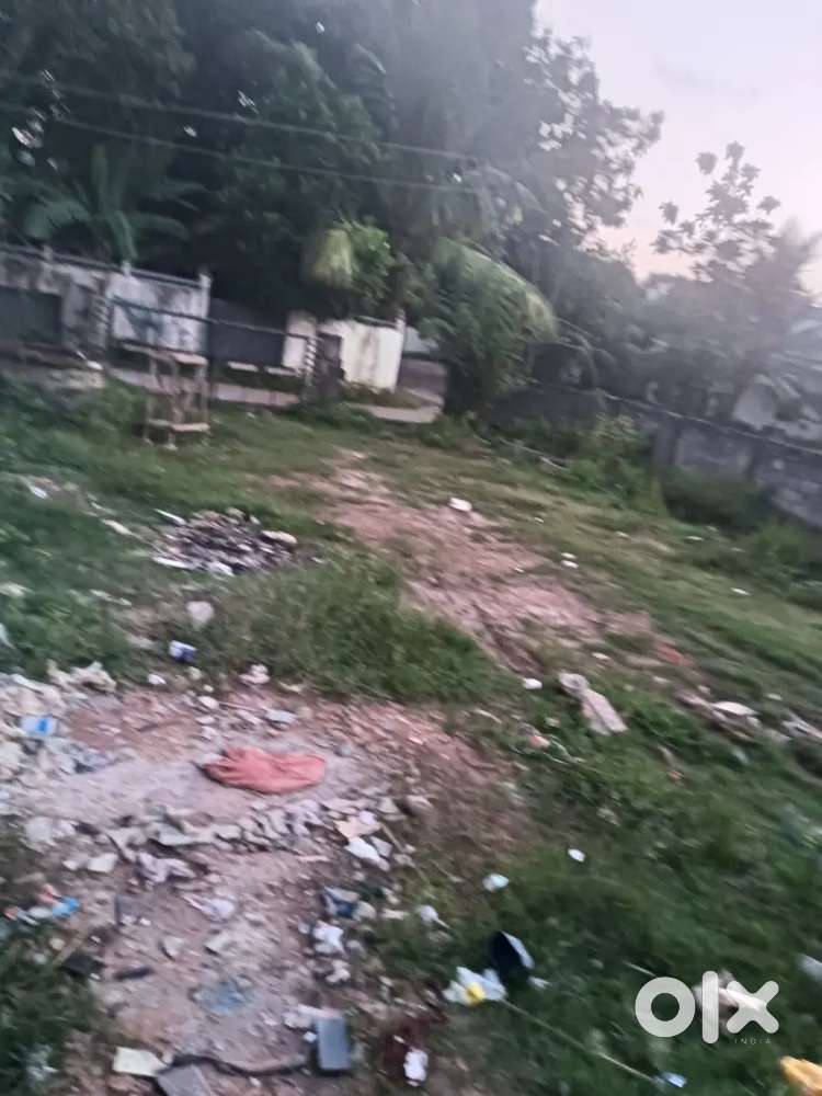6.5 സെന്റ്  വസ്തു വില്പനക്ക്,പാലമുക്ക്, കണ്ണനെല്ലൂർ റോഡ്