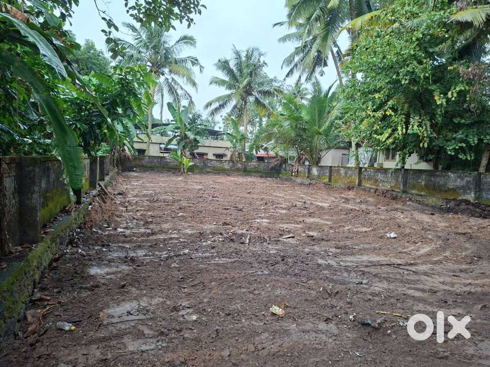 15 cent plot for sale perunna changanassery