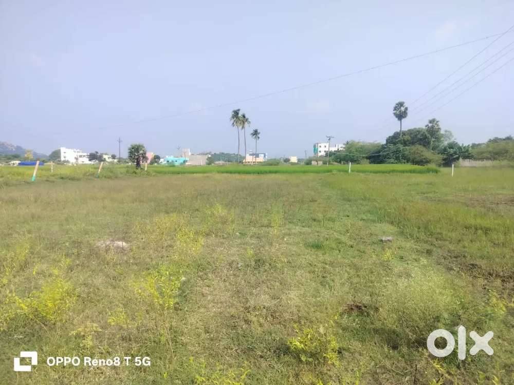 Near to bye pass Gingee and it's around 20 mm