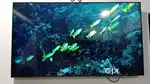 Samsung 55inches