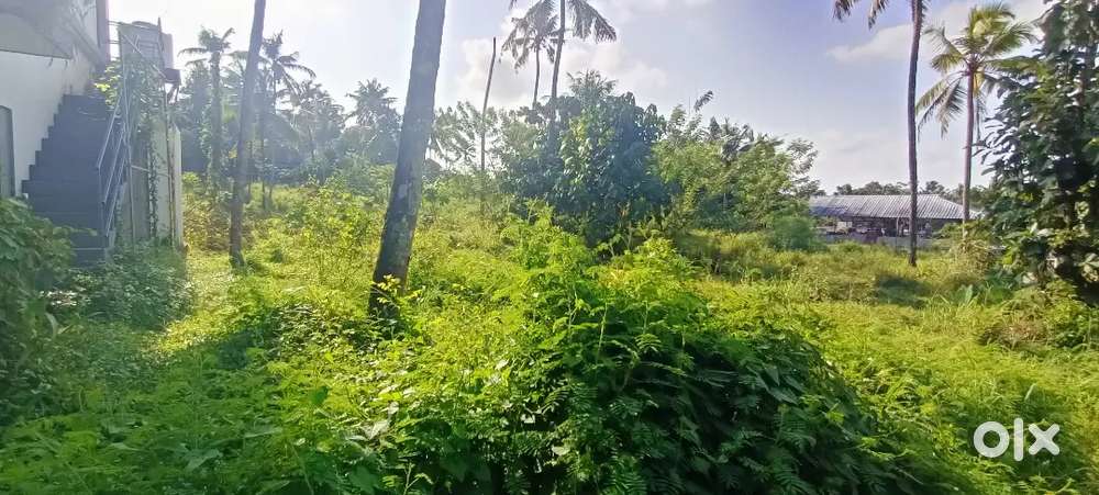 വരാക്കര നൊട്ടൻ മൂലയിൽ 4.5 സെന്റ് സ്‌ക്വയർ പ്ലോട്ട് വിൽപ്പനയ്ക്ക്