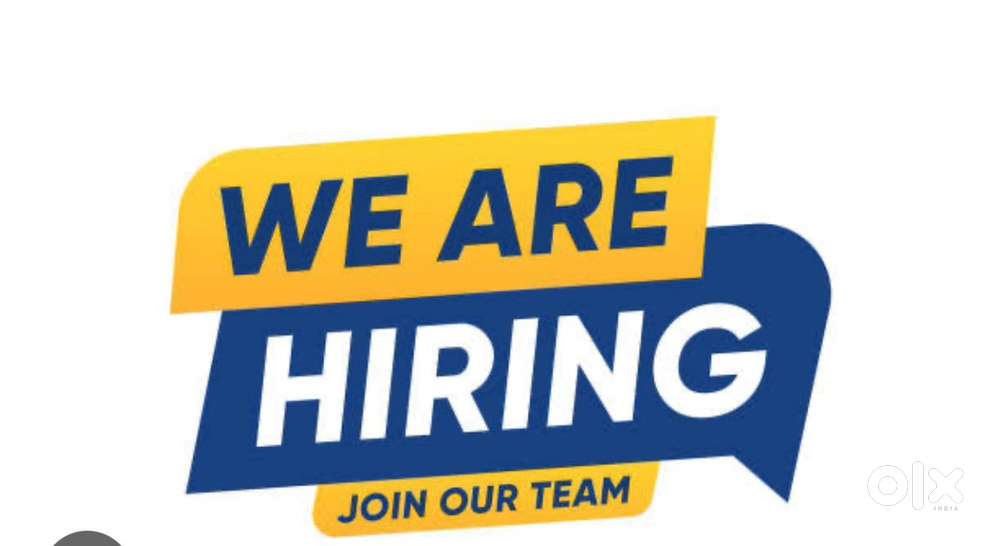 Field Assistant(Bharat Financial Inclusion Ltd)