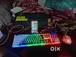 1. RGB keyboard from (Zebronics) 2. RGB Mouse (Protronics) 3. USB hub