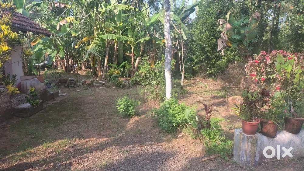 Residential plot for sale