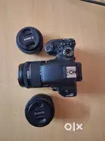 Canon 800 D with Kit Lens 18-55mm + Macro 24mm + Prime lens 50mm 1.8 F