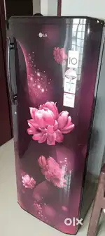 LG refrigerator 250 l