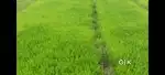 4lakh/guntha
