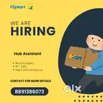 We are Hiring Hub Assistand