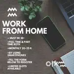 Work from home opportunities
