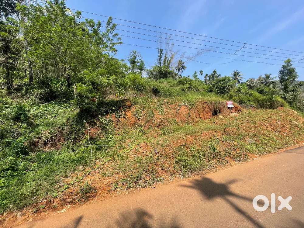 Alakkod- karuvanchal road (kallodi(