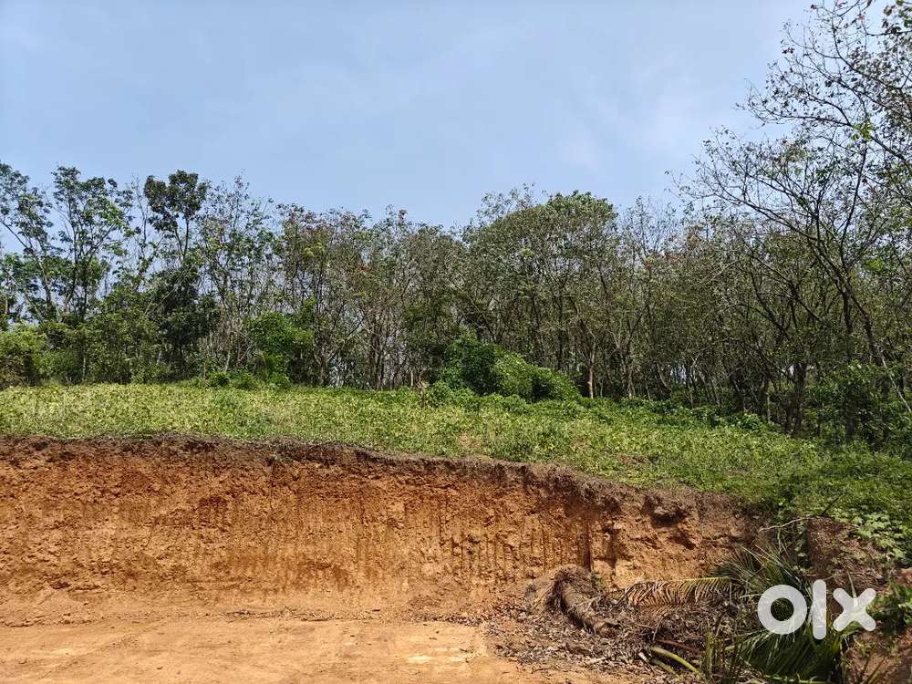 33 cents of Housing plot near MalayoraHighway, Mundanoor.