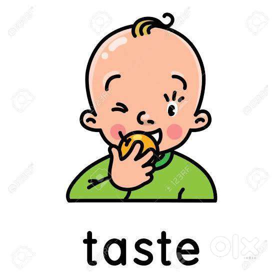 Cook waiter receptionist any male female candidate.