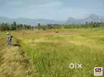 എലപ്പുള്ളി, പാലക്കാട് – 9 സെന്റ് വീടിനുള്ള പ്ലോട്ട്