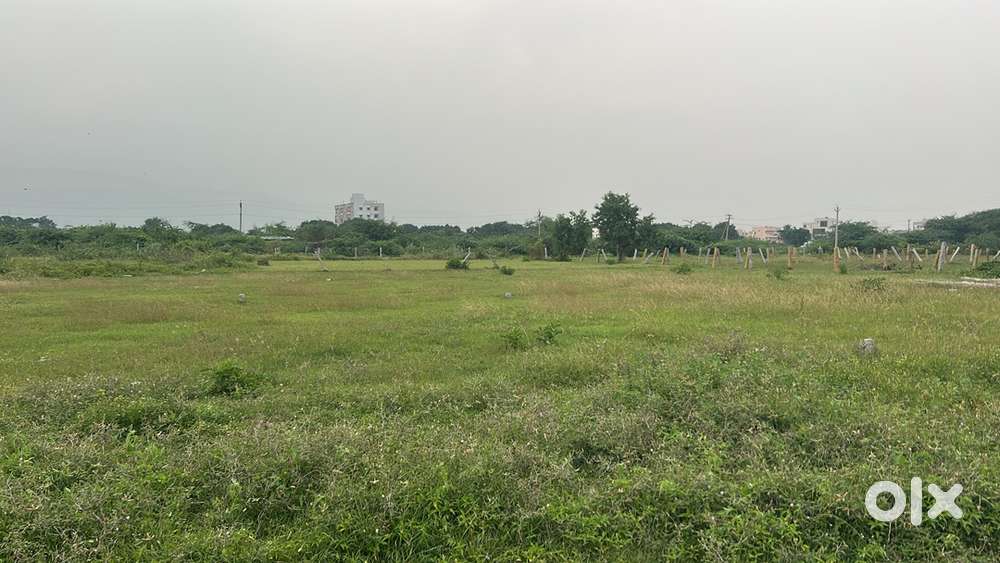 Original land 20 ankanams