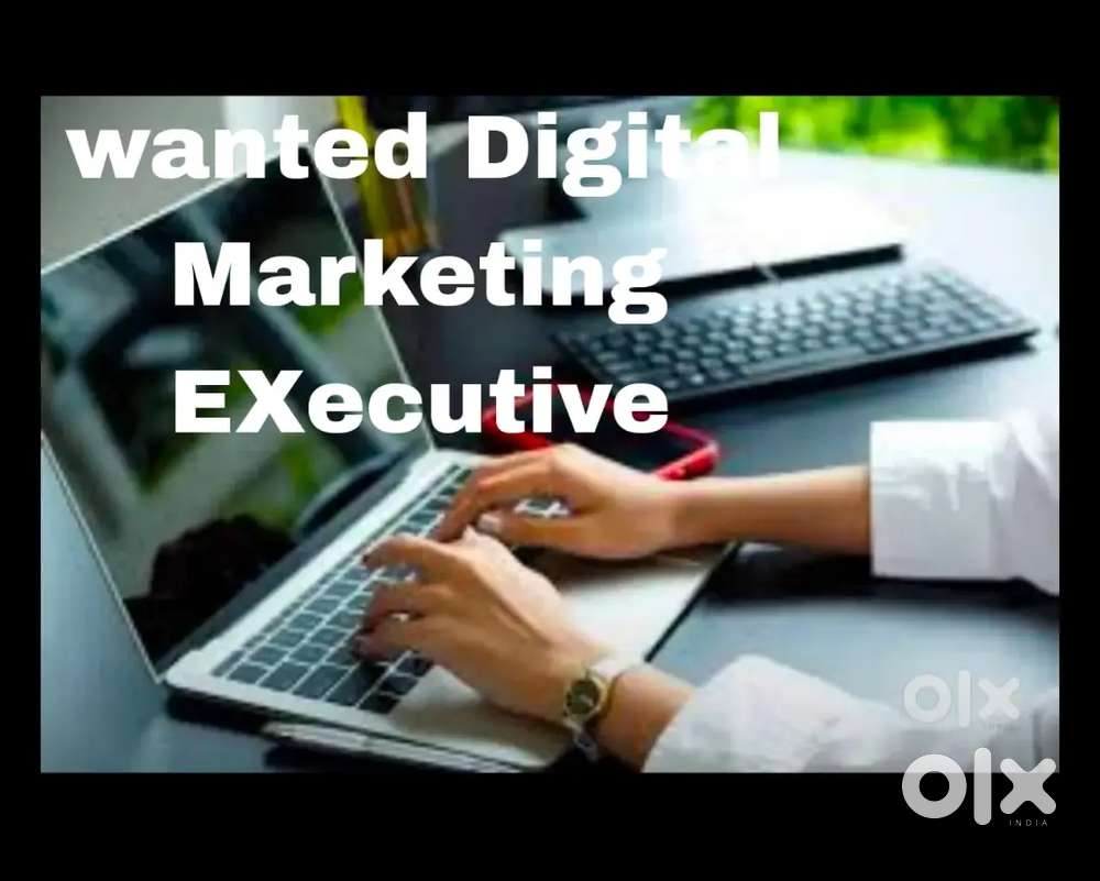 Digital Marketing Executive
