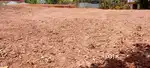 8 cent House plot Just 400 meter From Perumpuzha Vet: Hospital Jn: