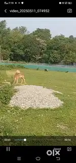 Par khata 2 lakh