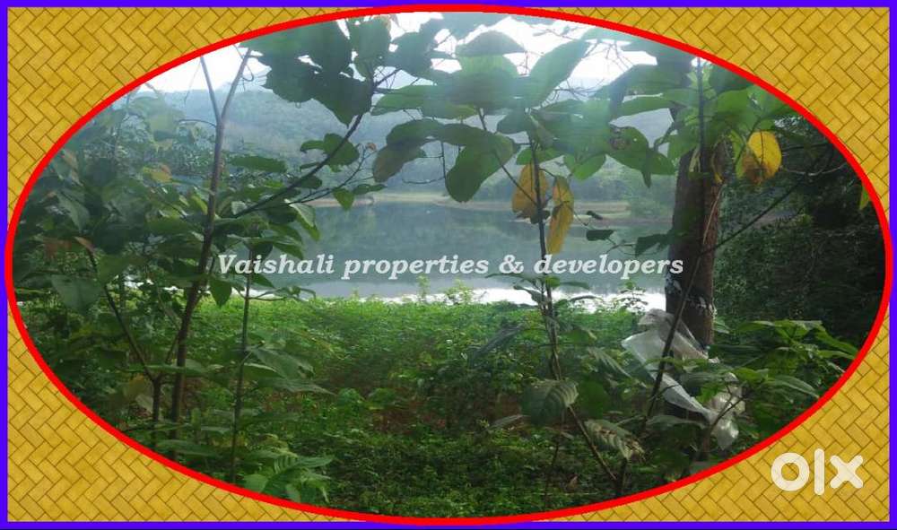 5 Acres Land for sale in near KUTTIYADI @ 20 Lacs/Acre