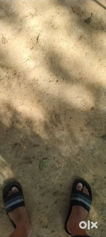 It's a big plot of land . You can buy any size you want