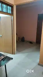 Indipendent bachlor job need room partner only girl