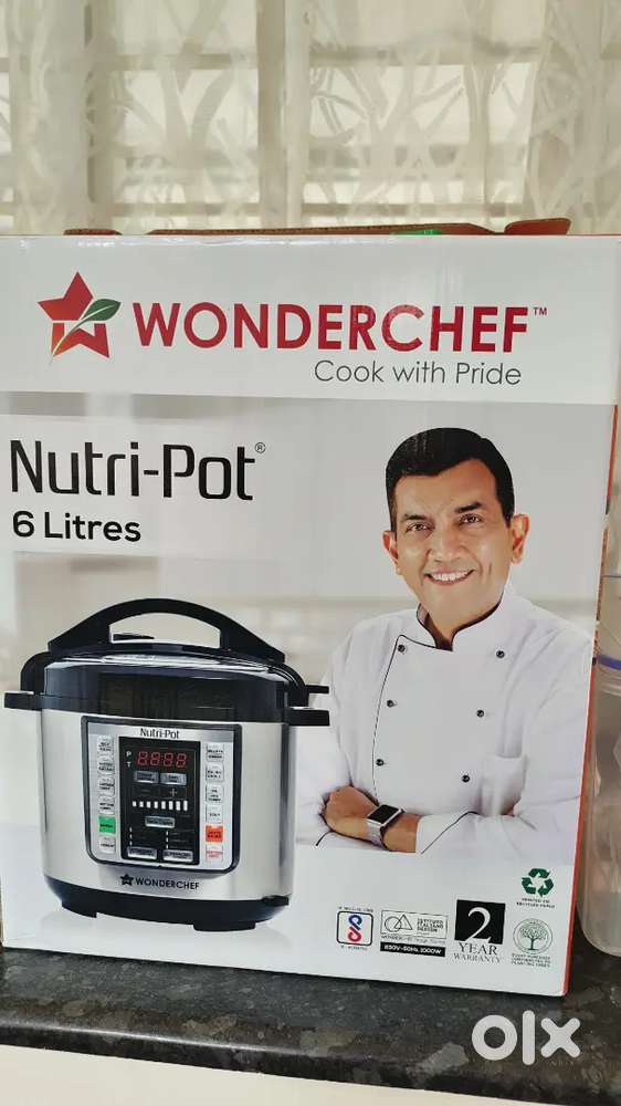 Electric pressure cooker