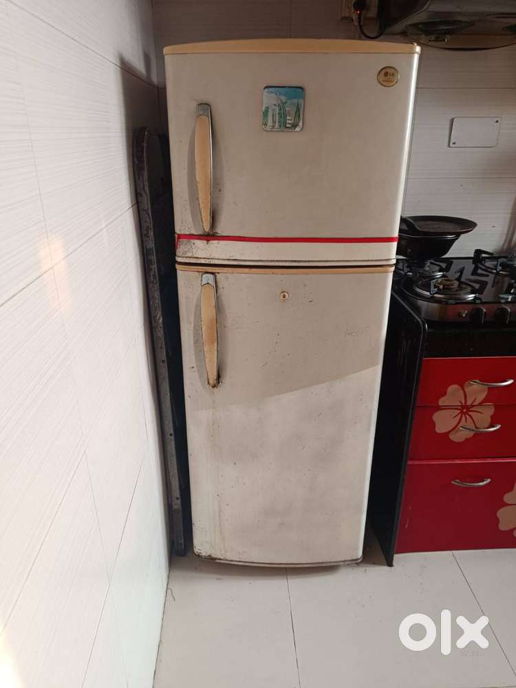 Lg double door frost-free freeze