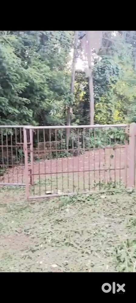 Chovva pathiriparambu road, 300 MTRS away from main highway road,
