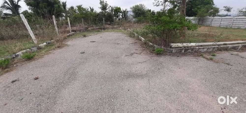 440 sq yard Plot for Sale near Chevella@ 12000 sq yard