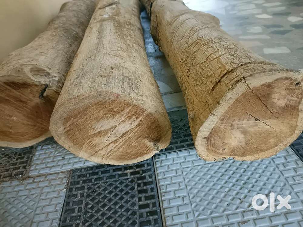 TEAK WOOD (with kathal) Kottarakkara മൈലം