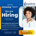 Telemarketing executive