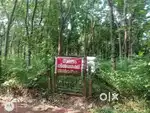 40 CENT PLOT FOR SALE AT VELLINEZHI, CHERPULASSERY, PALAKKAD