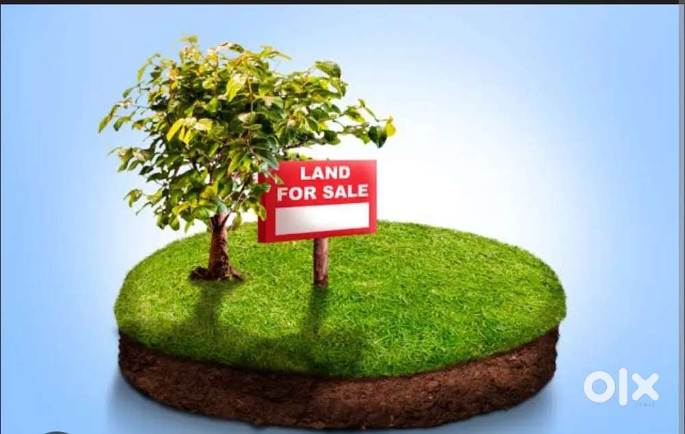 Baramulla mouza (Near -  Madokan More Muri Mill)