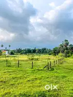 16 Cents Residential Plot for Sale – Elappully, Palakkad