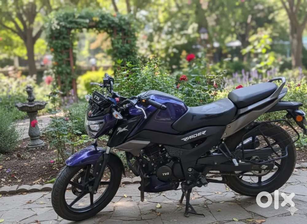 TVS Raider125_Disc_Smart Meter_Fully Laminated Body_Cash Purchase.