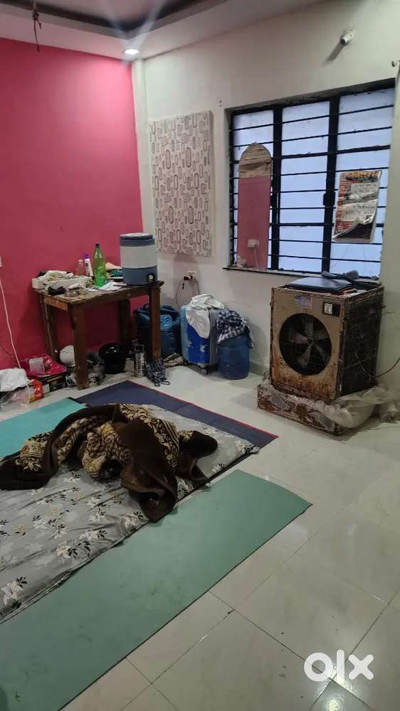 Need one male flate mate