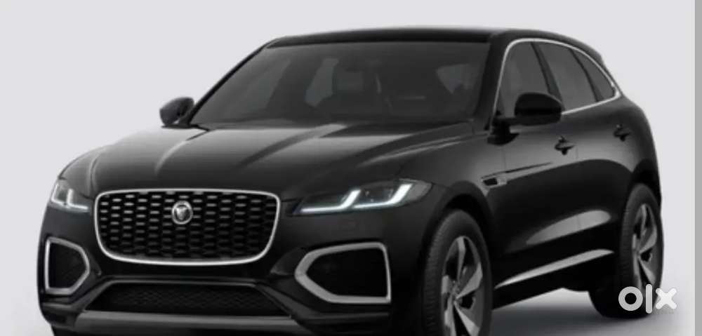 Looking for family type driver local chandigarh living