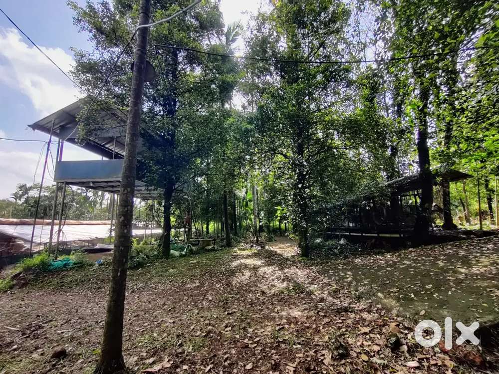 75 cents of land for sale