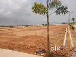 Plot for sale per sqyara25000