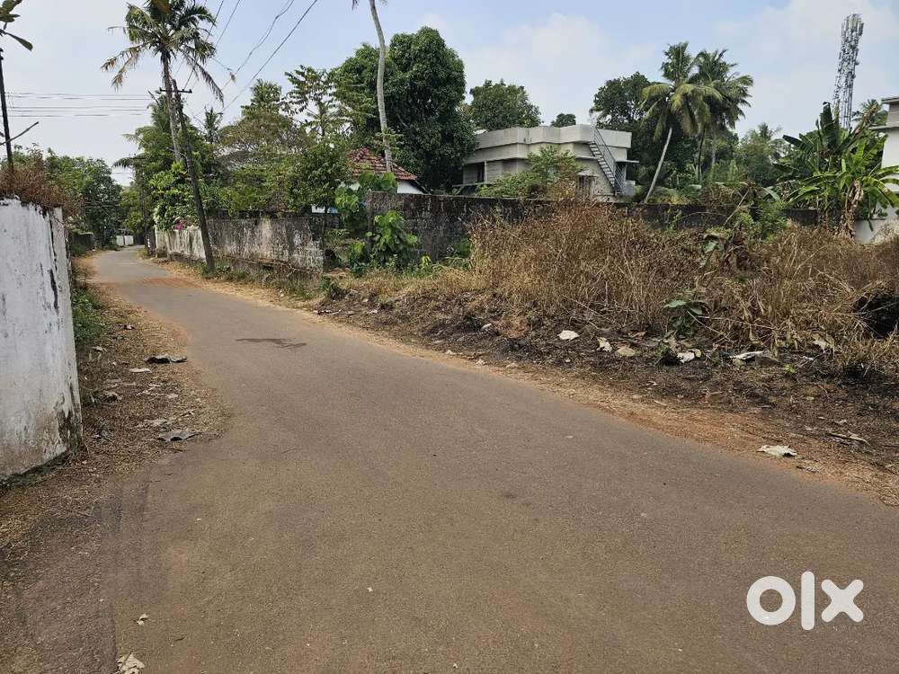 Aluva keezmadu Panchayath office 14cent plot for sale