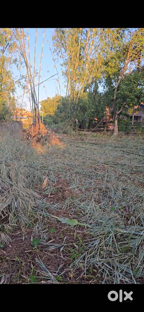 Miyadi Patta Land Available at Hatimora, Mancotta